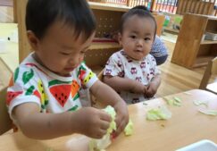 1歳児　★レタスちぎり★