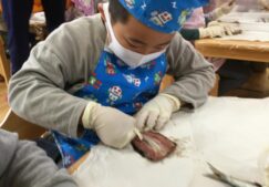 5歳児　★いわしのつみれ汁★
