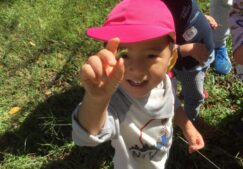 2歳児　★どんぐりみつけたよ★