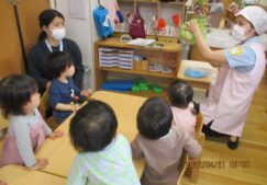 キャベツちぎり～2歳児クラス