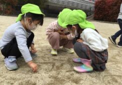 4歳児きりん組　「戸外あそび」