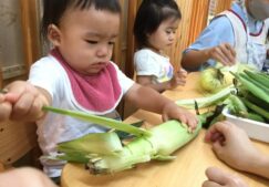 １歳児　★とうもろこしさん、いた！★