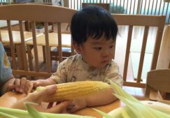 8月食育☆彡「とうもろこしの皮むき」「枝豆はじき」