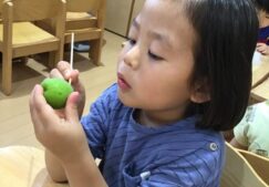 ３歳児うさぎ組　「梅ジュース作り」