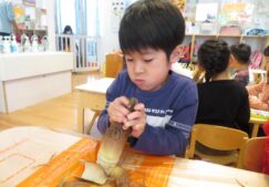 食育「たけのこ皮むき」