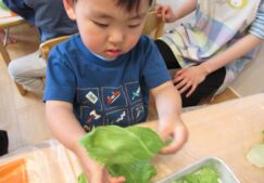 食育「サンドイッチ作り」