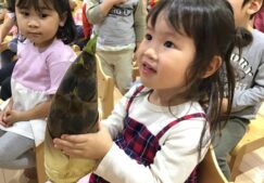 3歳児うさぎ組『こどもの日会』