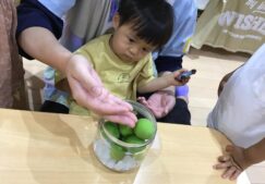 1歳児りす組　「梅ジュース作り」