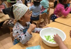 4月食育☆彡「春キャベツちぎり」