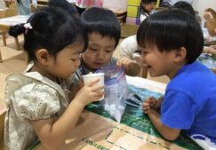 ３歳児うさぎ組『片栗粉粘土に挑戦』