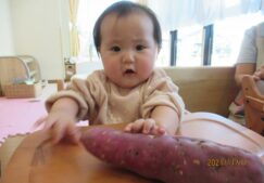 １１月の食育活動　“さつまいも”　～にじ組～