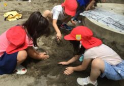 5歳児　★落とし穴★　★ラデッシュ★