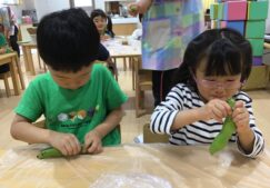 4歳児きりん組『食育活動「さやむき」』