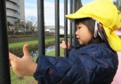 少し遠くまでお散歩♪　～ほし組～