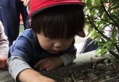 【いちご組】虫さん探し！