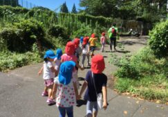 3歳児　★お兄さんお姉さんと一緒に★