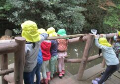 園外保育～田園調布せせらぎ公園　４歳児クラス