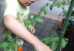 【ばなな組】野菜の収穫！
