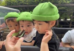 １歳児 ★蝶々みーつけた！★