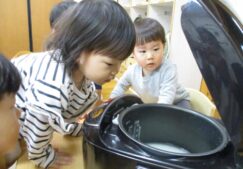 無農薬・無肥料のお米