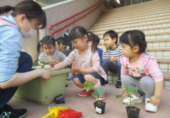 今年も夏野菜を育てています！！