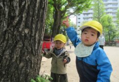 公園に行きました！～ほし組～