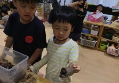 ４歳児きりん組『カブトムシかっこいいなあ！』