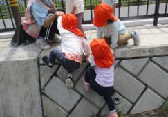 ５月６日