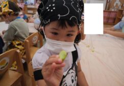 ☆こぐま組　5月食育☆