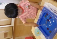 お魚すくい～そら組～