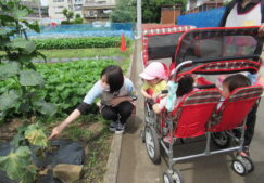 当園への資料請求について