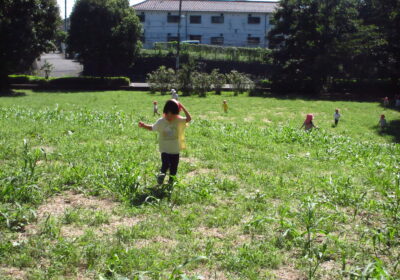 よいしょ、よいしょ