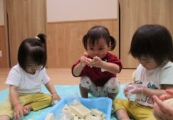 ひよこ組　高野豆腐で感触遊び！！