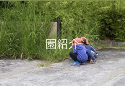 保育園紹介動画