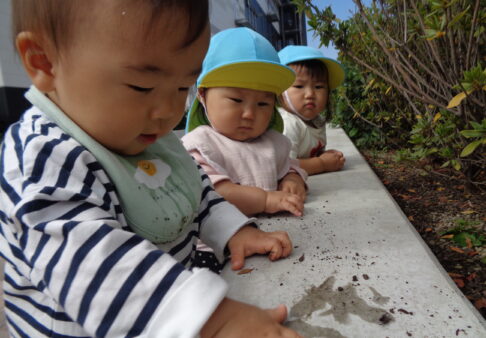 お散歩の様子（0歳児）☆彡