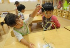 ２歳児ぱんだ組　「食育　おにぎり作り」