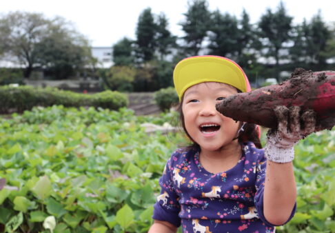 芋ほり遠足