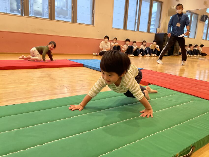 いぬやうさぎ、カエルなどになって…(´▽｀*)