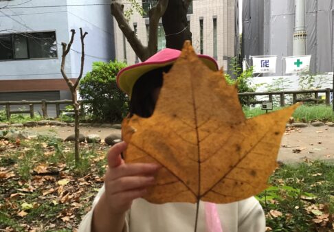 2歳児　★秋の散歩★