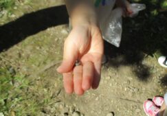 たんぽぽ組(３歳児)の様子