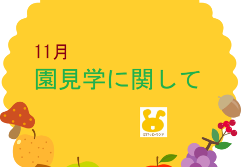 １１月　園見学　※11/4現在