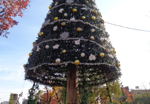 ノリタケの森にクリスマスツリー☆彡