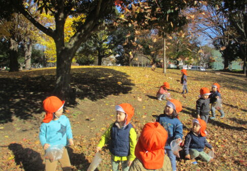 2歳児　中川公園に行ったよ