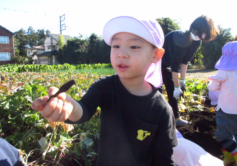 何だこれ？小さいな…