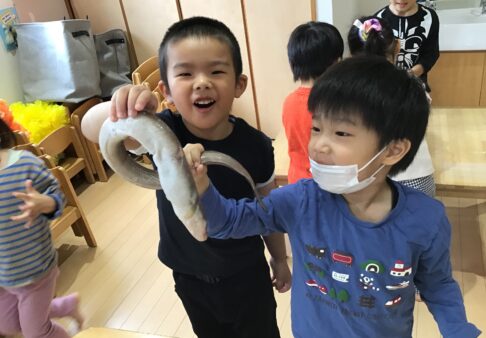 4歳児きりん組　「お魚とのふれあい」
