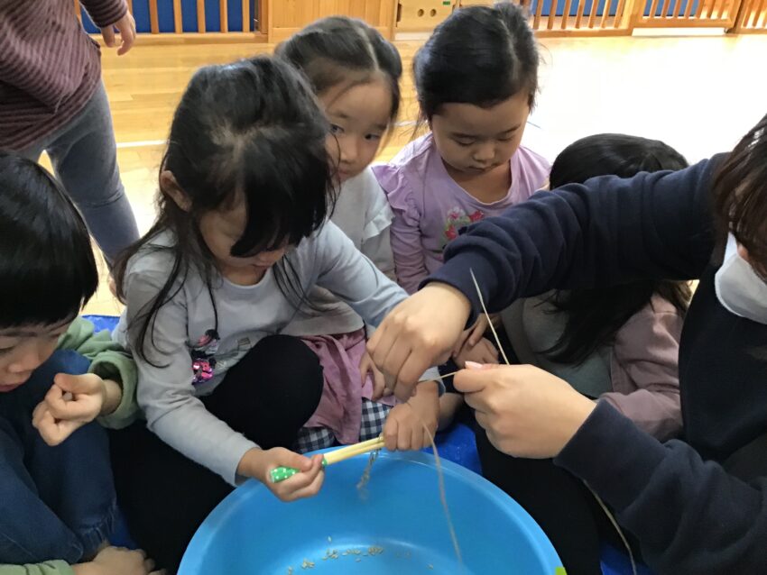 今日は栄養士さんが貰ってきてくれた稲からお米を取り出す体験をしました。
箸を使って脱穀すると思いのほかたくさんのお米が落ちてくる感覚が楽しくて
「私もやりたい!」と次々にお友だちが集まってきました。
脱穀が終わると籾摺りをすり鉢とすりこ木でしてみると・・
「あ!お米!」いつものお米の形が出て来て自分たちで発見できた喜びをお友だちと感じていました。
その後はもみ殻とお米を手で分ける作業。
黙々と集中して分けていました。
楽しいけどちょっと大変。美味しいお米が食べられるまでの過程を実際に経験することで、感謝の気持ちが
生まれ、食に対する意識も変化してきます。
みんなで手を掛けたお米の味は、きっとどのご飯よりも美味しいのでしょうね。