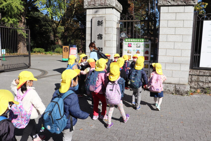 4歳児さんが電車に乗って新宿御苑まで遠足に行ってきました。<br />
天気も良くて新宿御苑までの道のりも軽い足取りで歩けました。<br />
途中にあった銀杏の葉の黄色がとても綺麗でした。<br />
到着するとさっそくどんぐりを発見！<br />
見たこともないくらいたくさん落ちていたので、夢中になって拾いました。<br />
そしてどこまでもどこまでも広い場所を思いっきり走ったり寝転がったり出来て、とても気持ち良かったです！<br />
散策したり自然にたくさん触れた後は紅葉を見ながらのお弁当。<br />
お母さんやお父さんが作ってくれたお弁当も嬉しいし、お友達や先生と外で食べるのも楽しくて笑顔が溢れていた子どもたちでした。