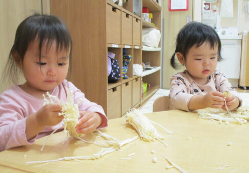 ０歳児 食育『きのこ』＆シュシュで遊ぼう！