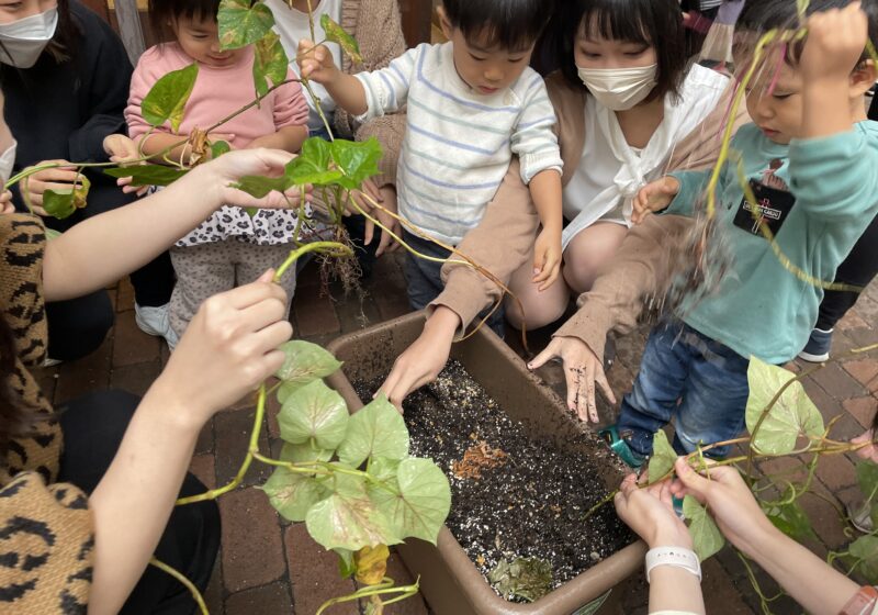 学生さんたちとおいも堀りをしました。