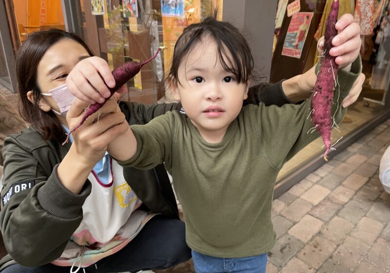 ちびいもちゃんが取れたよー。おいもを使ってクッキングしまーす。